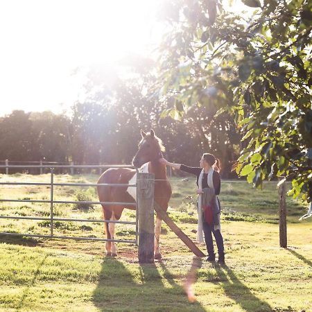 Bridle Guesthouse Maleny Exterior foto